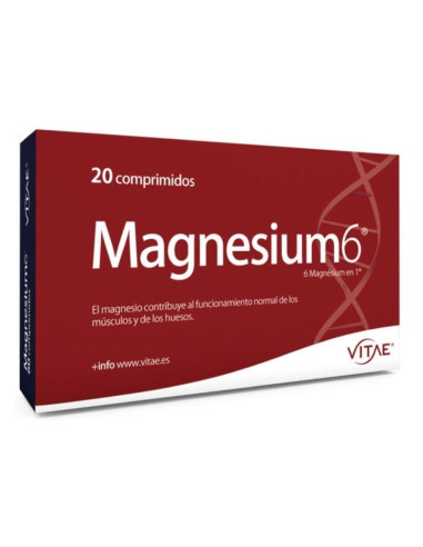 Magnesium6 20 comprimidos