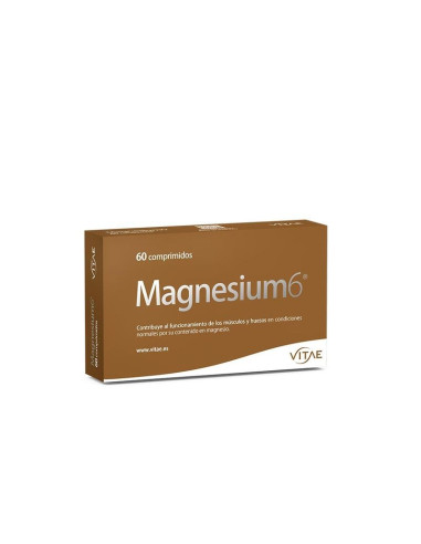 Magnesium6 60 comprimidos