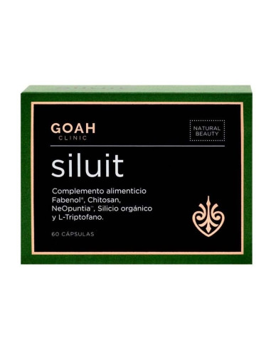 Goah Clinic Siluit